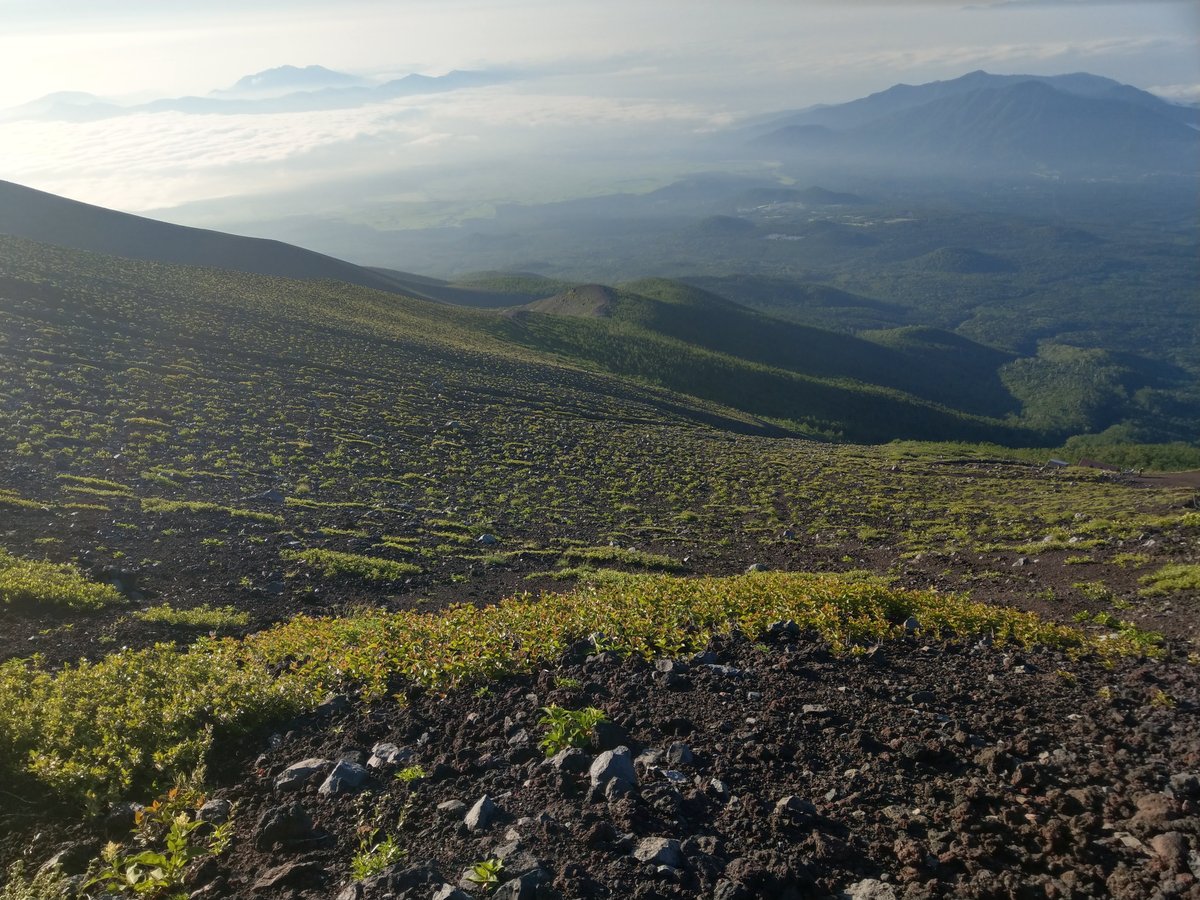 Mt. Fuji's Black Lava Fields, Shizuoka photo 7