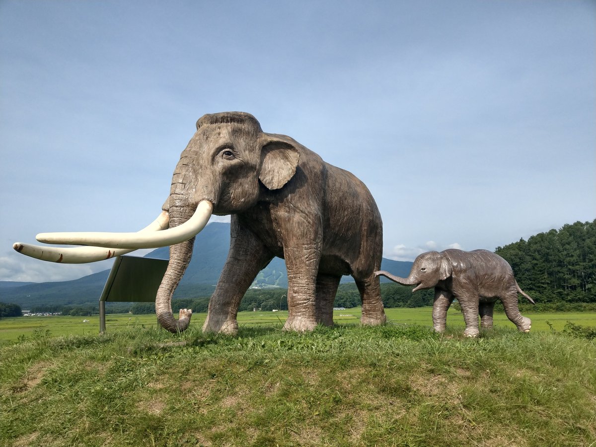 Giant Elephant Sculptures in a Nagano Valley, August