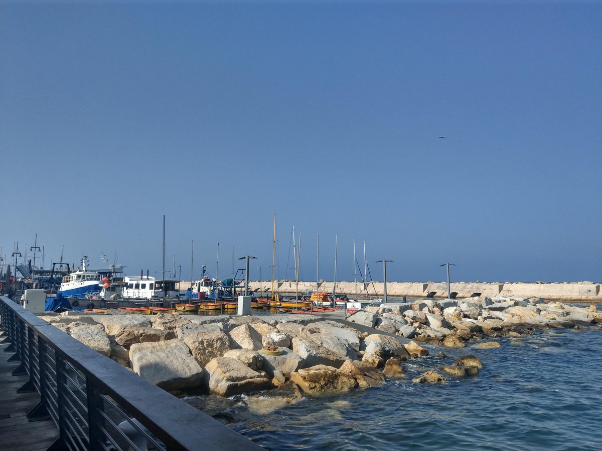 Local Warmth in Israel, October 2019 photo 3