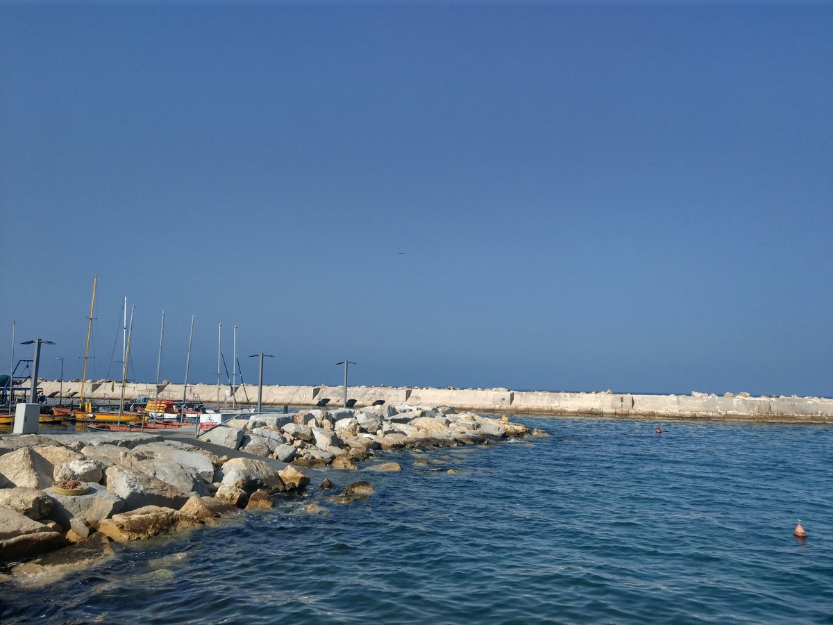 Local Warmth in Israel, October 2019 photo 4