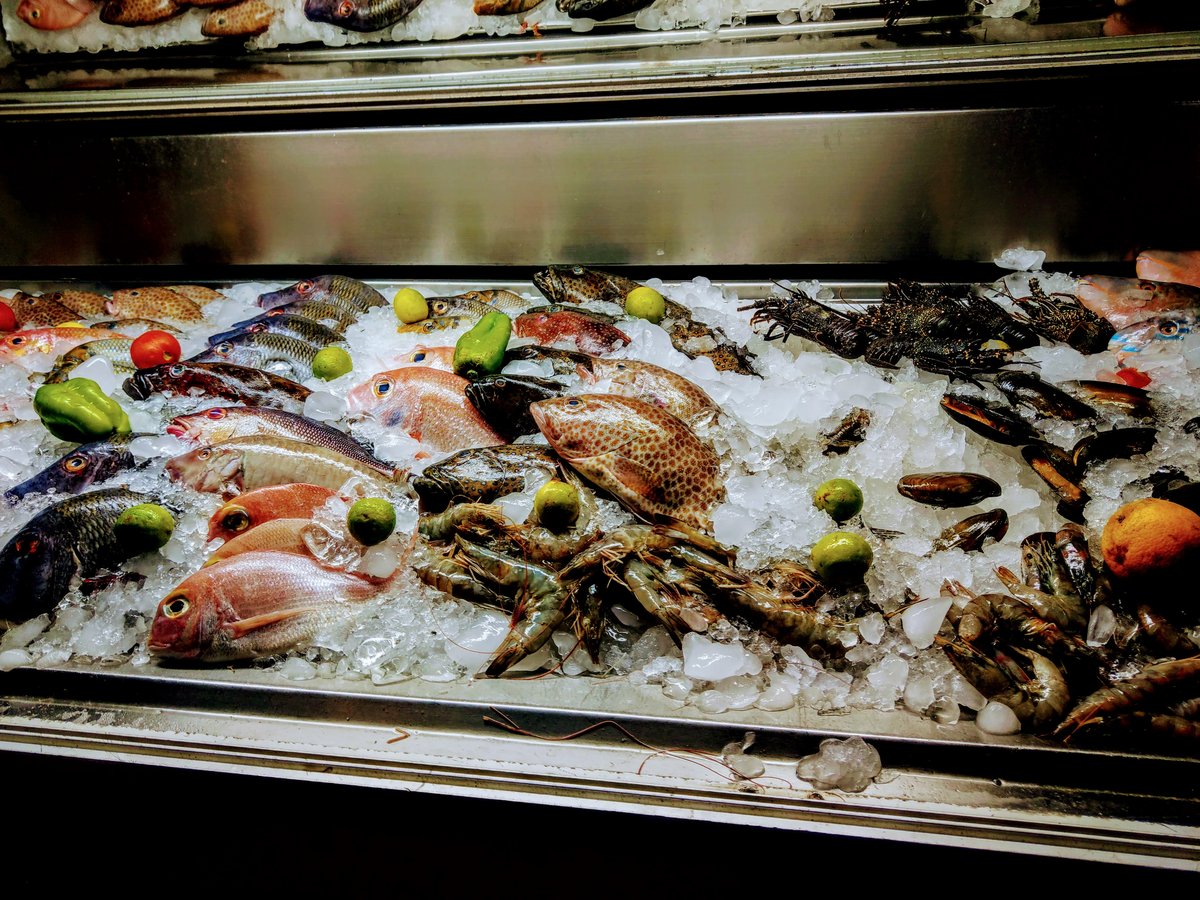 Fresh Seafood Market Display, Dahab Egypt