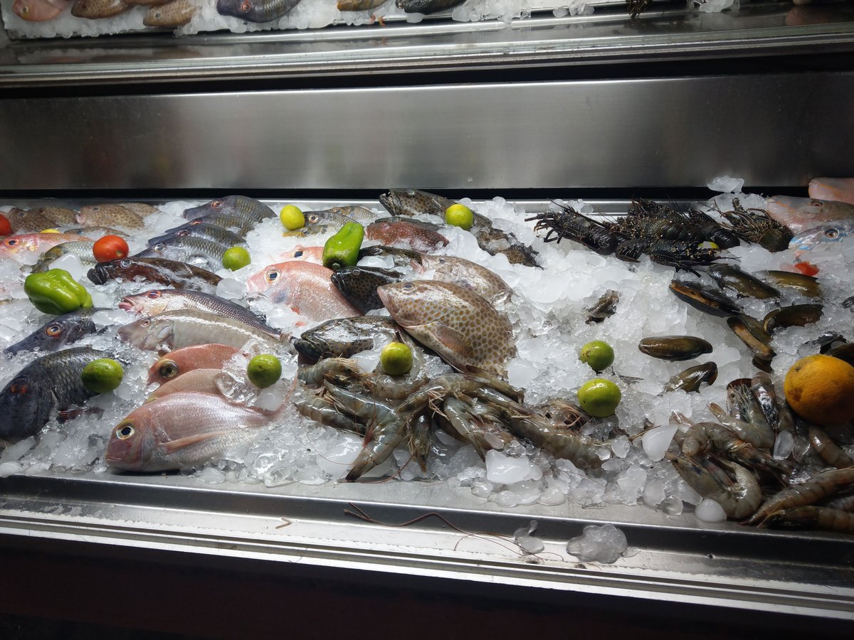 Fresh Seafood Market Display, Dahab Egypt photo 2