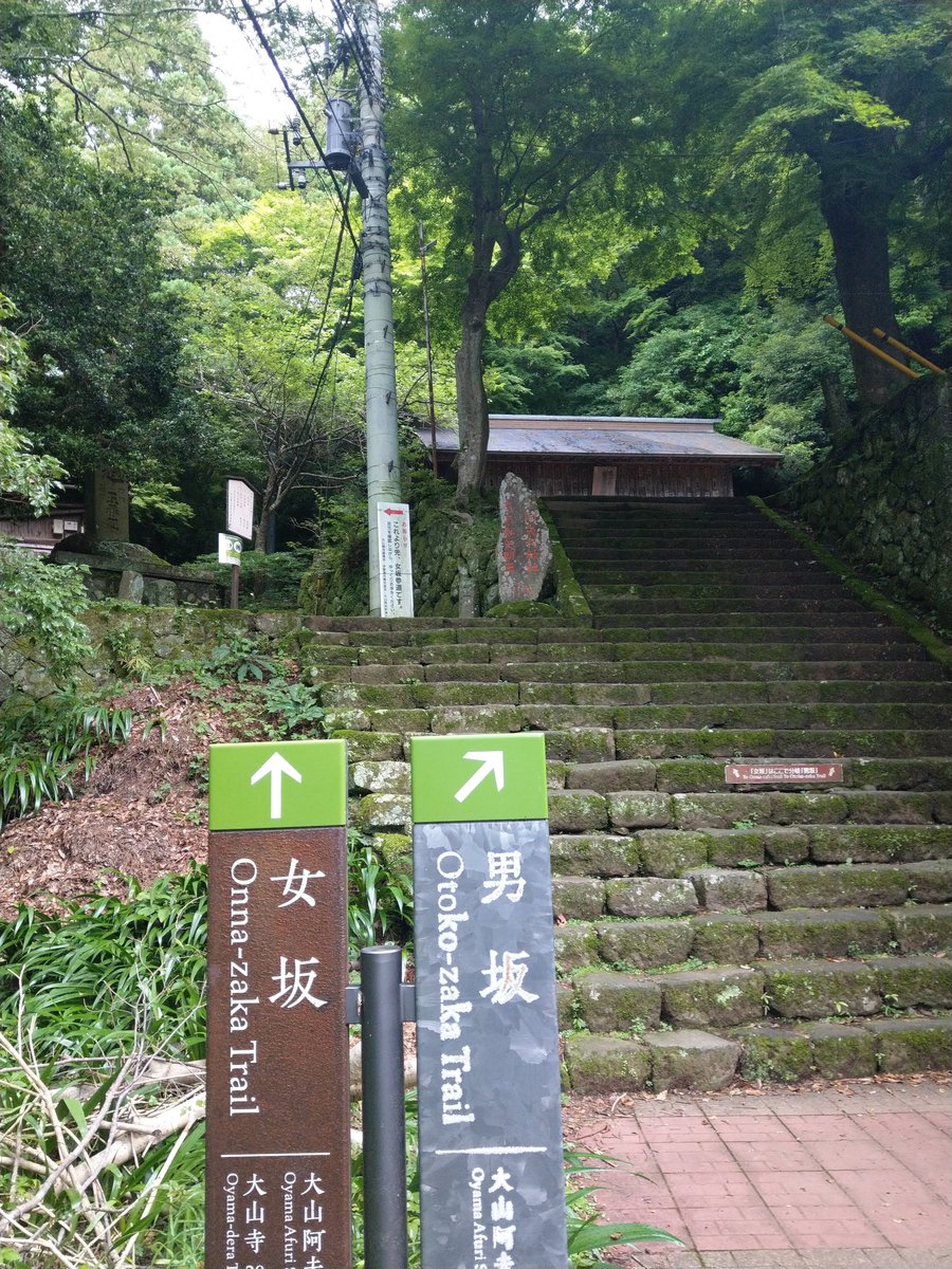 Mountain Shrine Trail, Kanagawa โ Summer Green in June