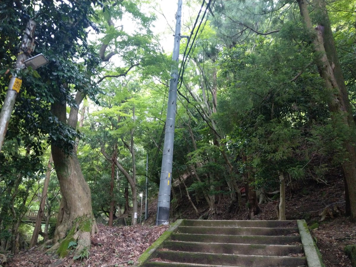 Mountain Shrine Trail, Kanagawa โ Summer Green in June photo 2