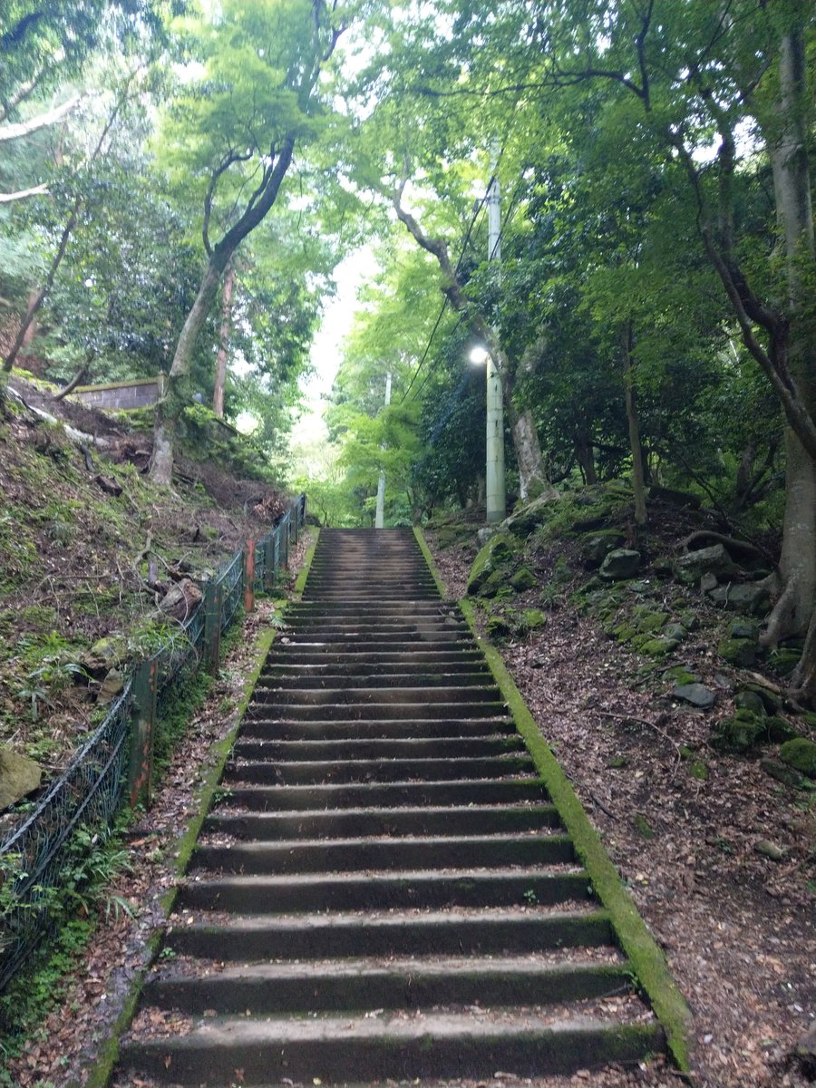 Mountain Shrine Trail, Kanagawa โ Summer Green in June photo 4