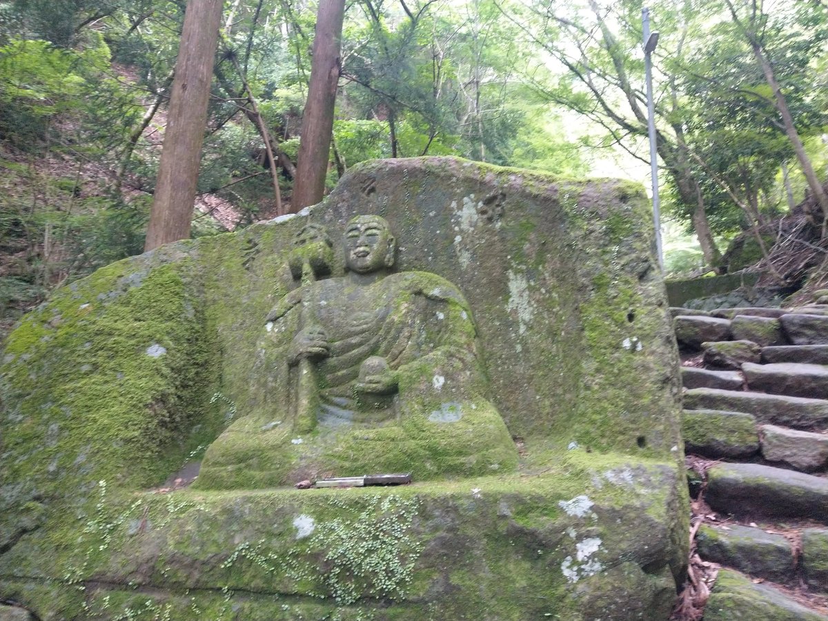 Mountain Shrine Trail, Kanagawa โ Summer Green in June photo 5