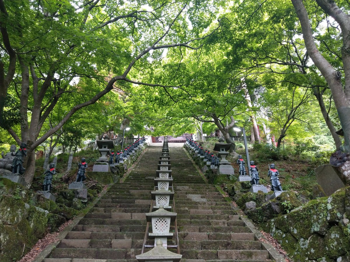 Mountain Shrine Trail, Kanagawa โ Summer Green in June photo 7