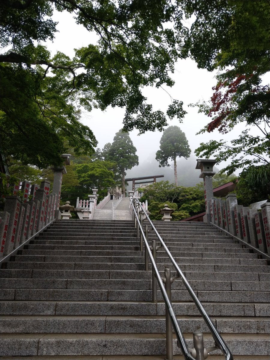 Mountain Shrine Trail, Kanagawa โ Summer Green in June photo 9