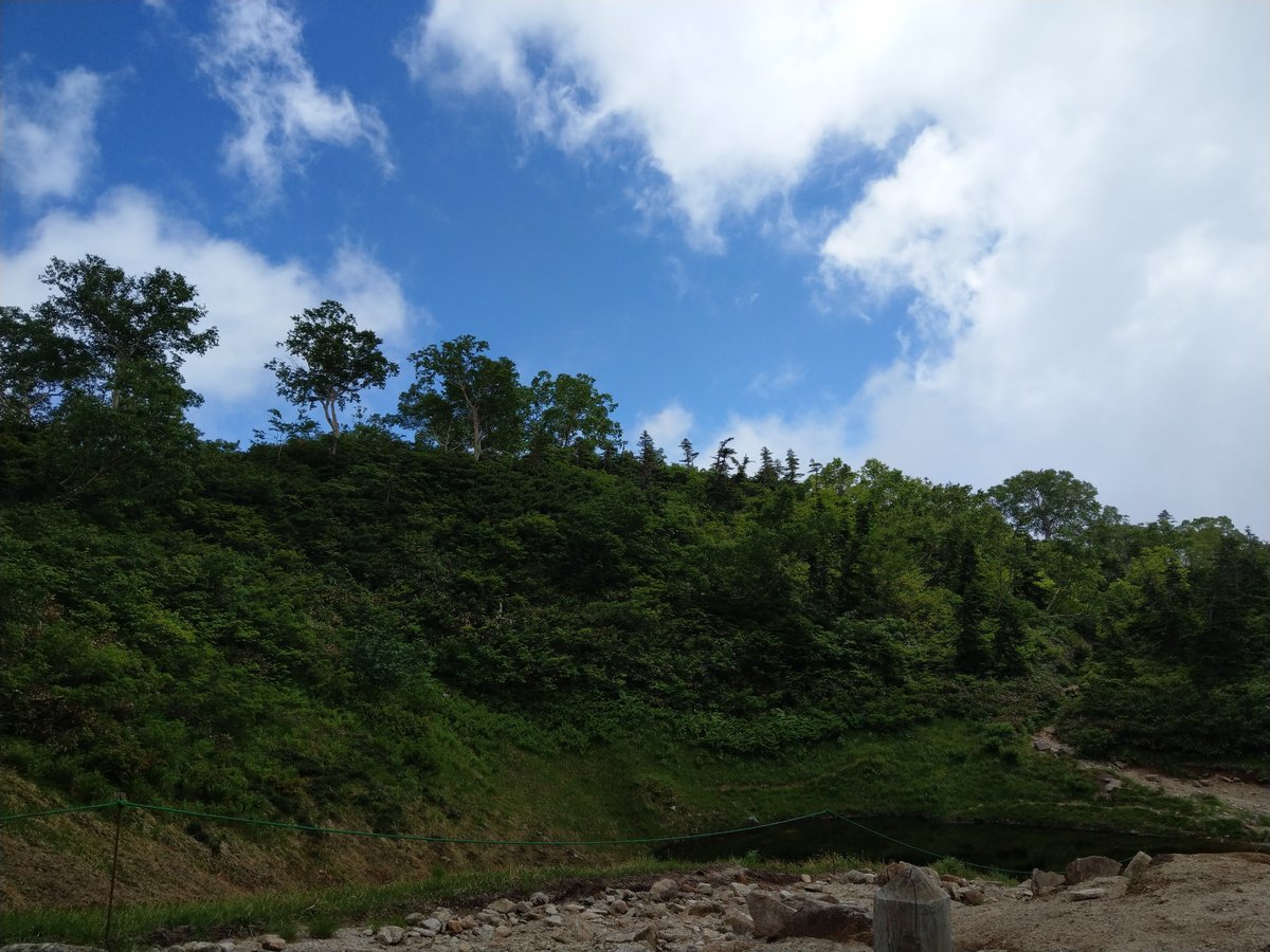Summer Hydrangeas in Toyama, with Mt. Shirouma in View photo 2