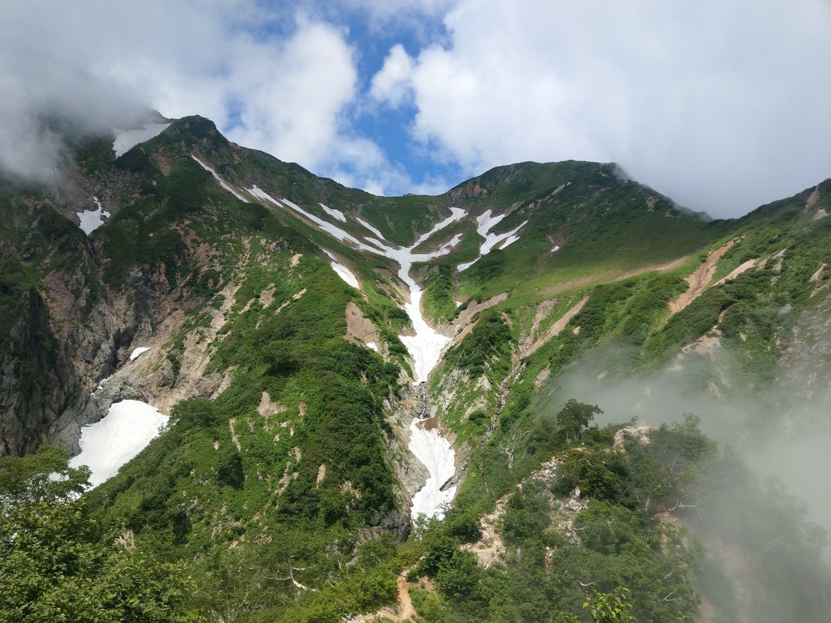 Summer Hydrangeas in Toyama, with Mt. Shirouma in View photo 6