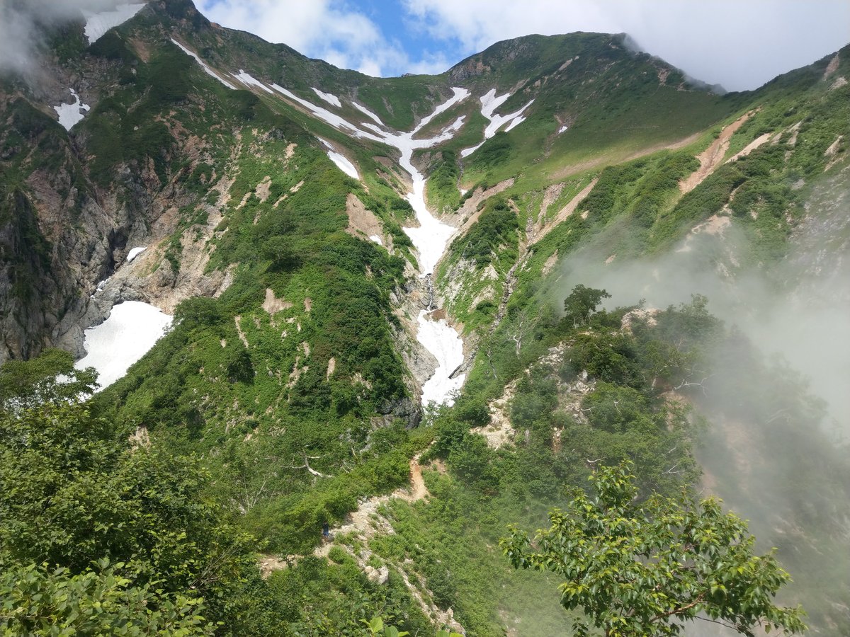 Summer Hydrangeas in Toyama, with Mt. Shirouma in View photo 7