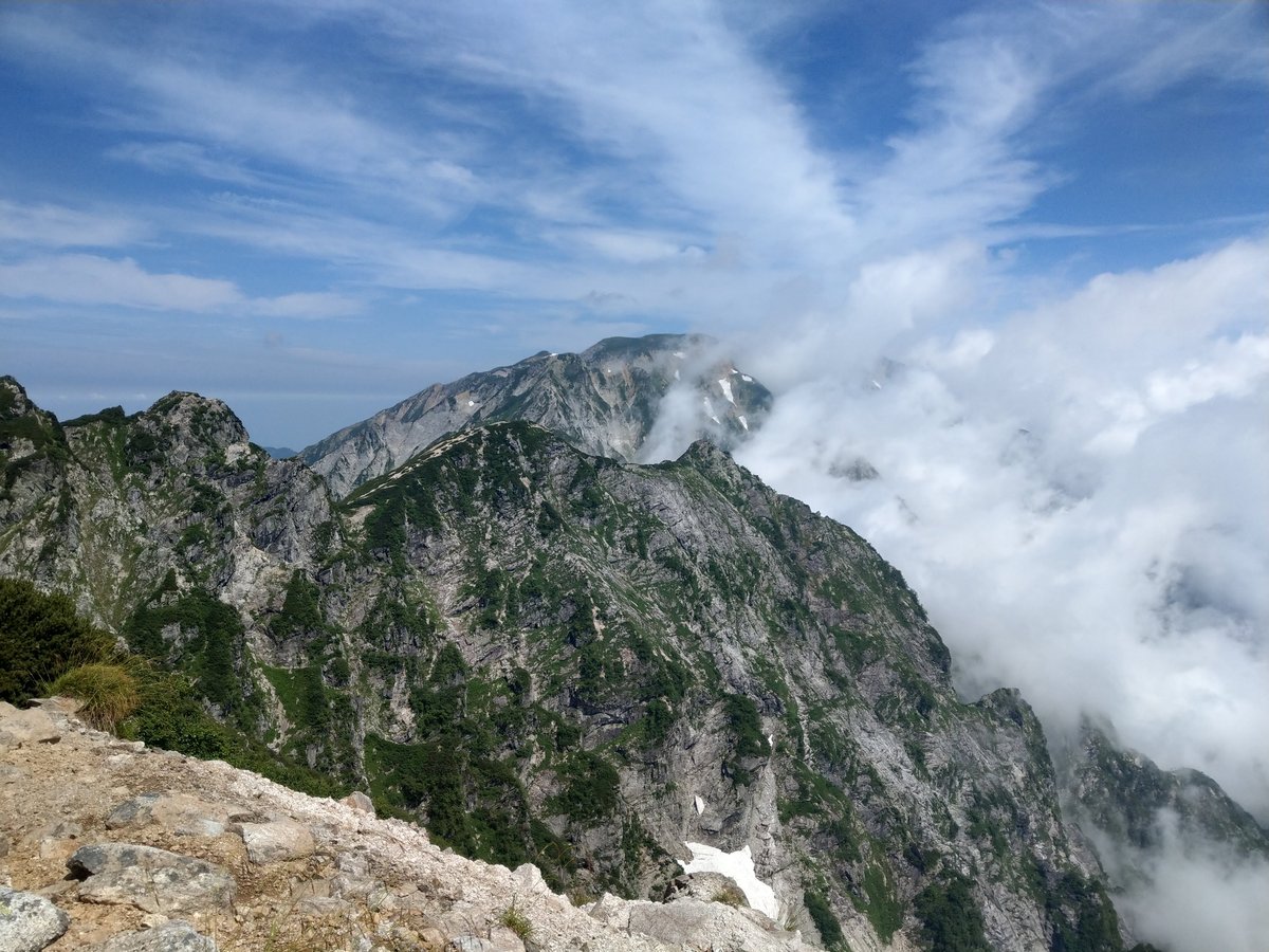 Alpine Wildflower in August, Toyama photo 2