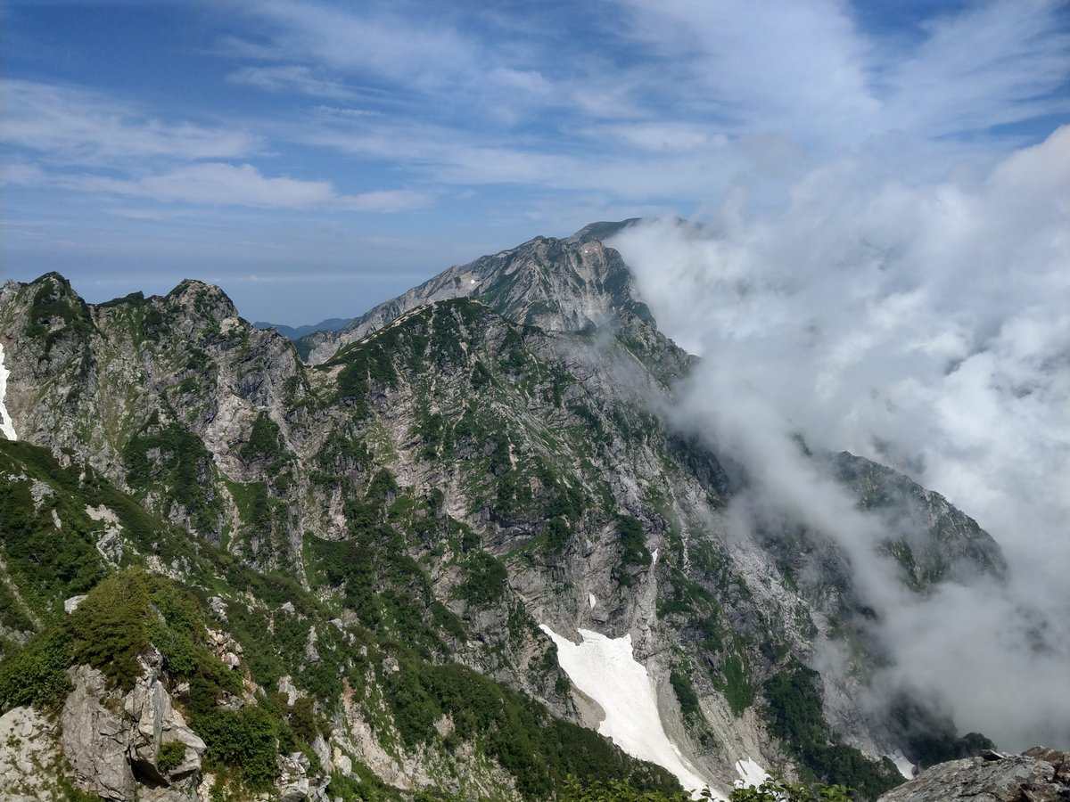 Alpine Wildflower in August, Toyama photo 3