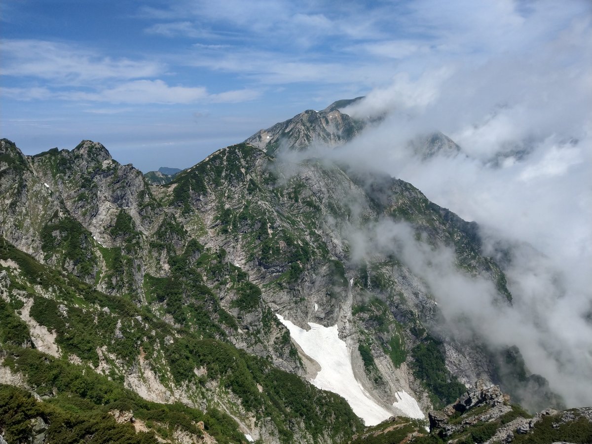 Alpine Wildflower in August, Toyama photo 4