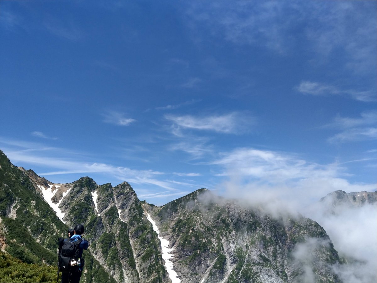 Alpine Wildflower in August, Toyama photo 5