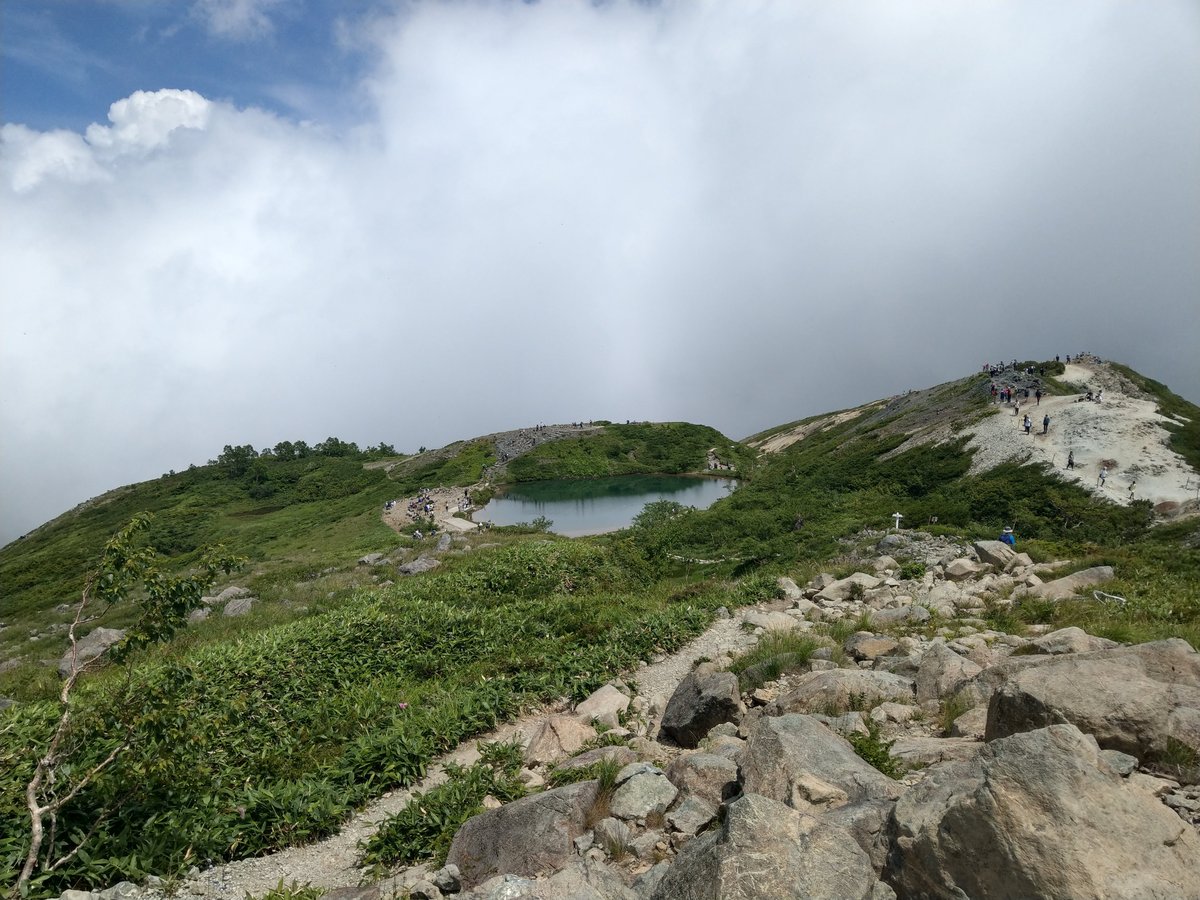 Alpine Wildflower in August, Toyama photo 8