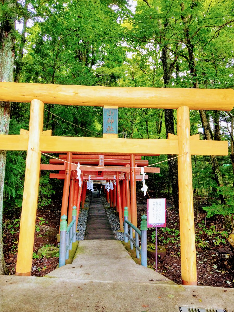 Shrine Torii Gate, Lake Kawaguchi, Yamanashi