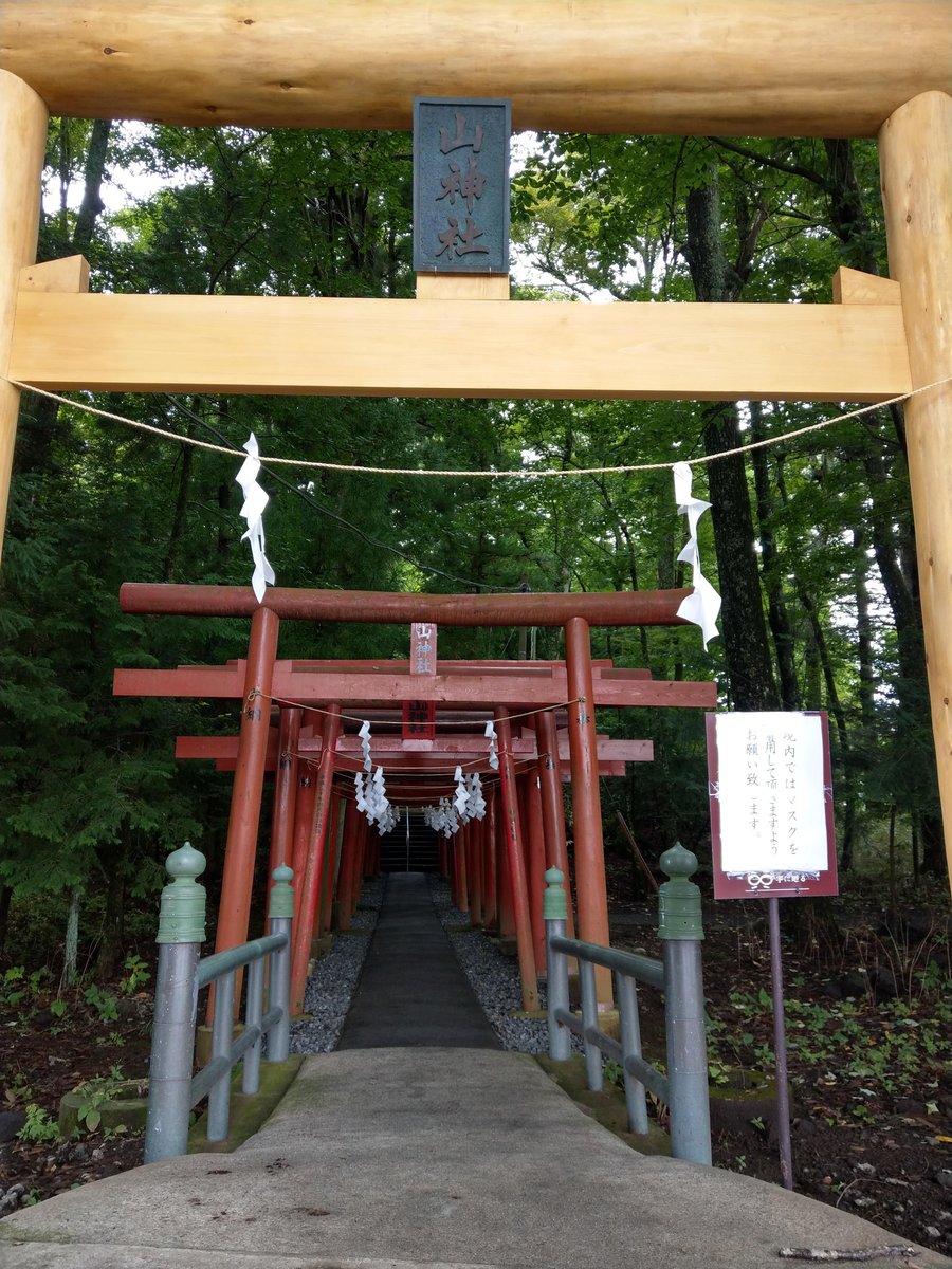 Shrine Torii Gate, Lake Kawaguchi, Yamanashi photo 2