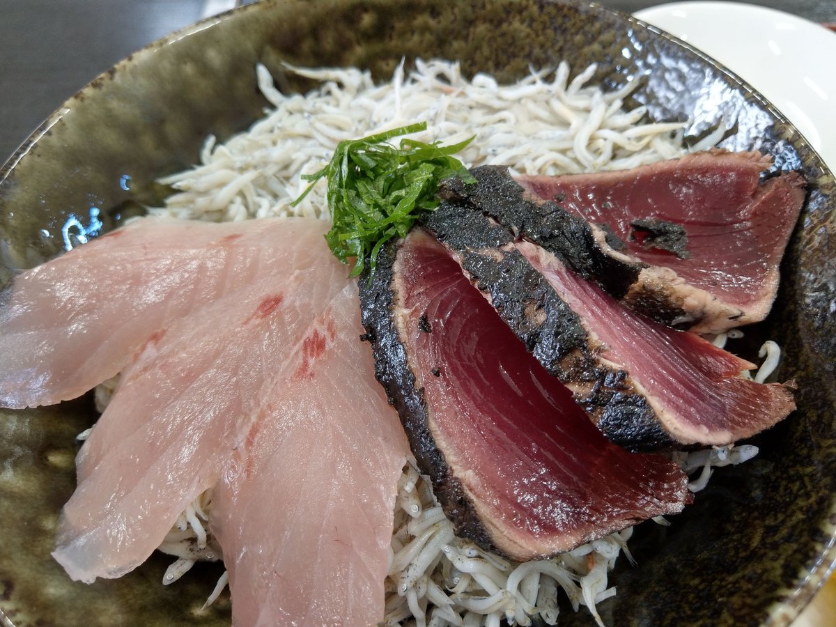 Fresh Seared Tuna Bowl, Kōchi Prefecture