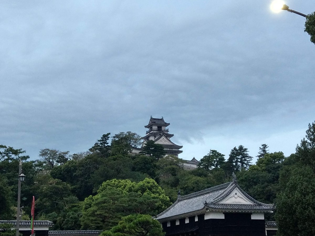 Castle Ruins Framed by Kōchi's September Green