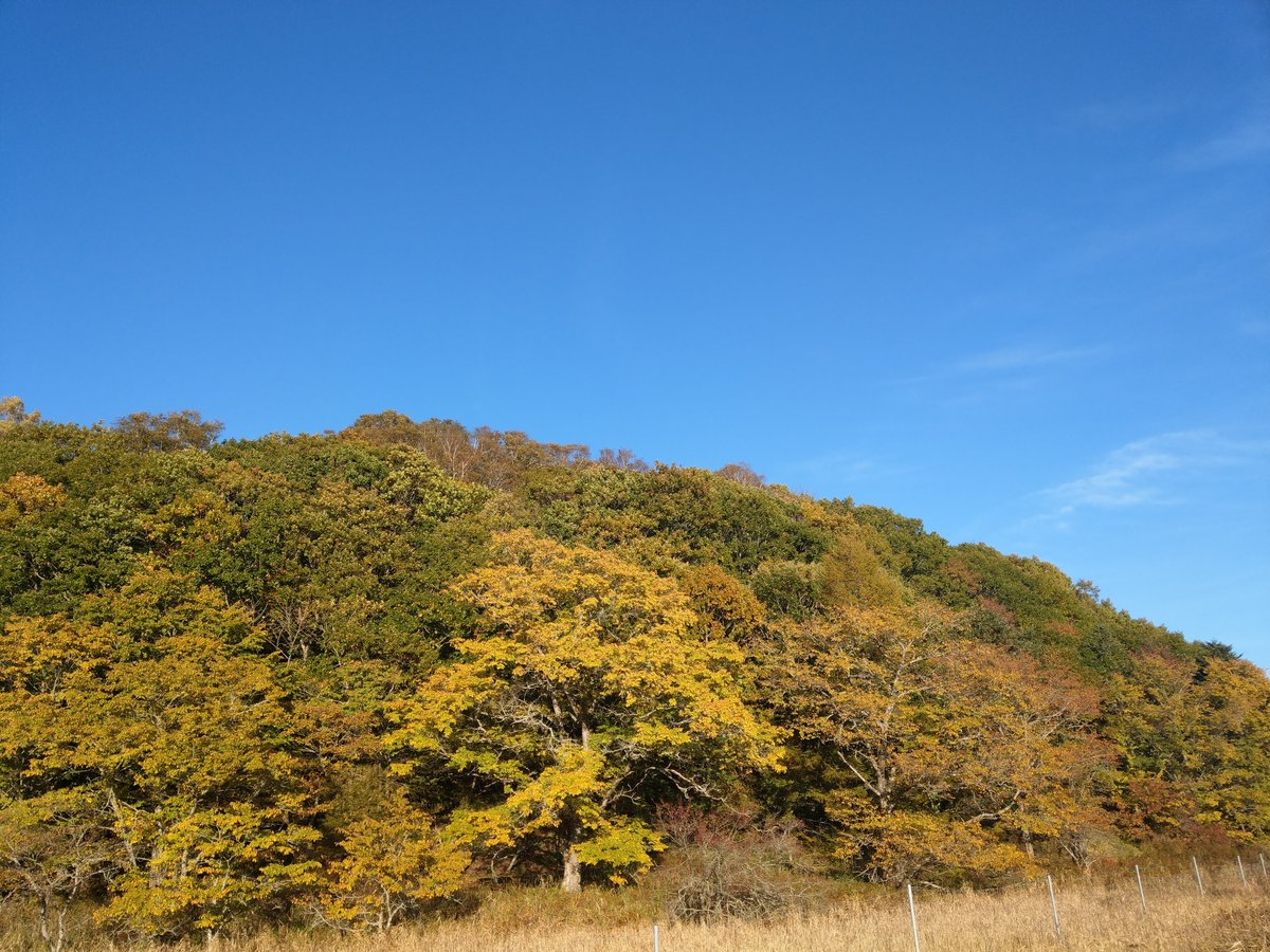 Atsuumi Lakeside Turnaround, Hokkaido's East Coast photo 7