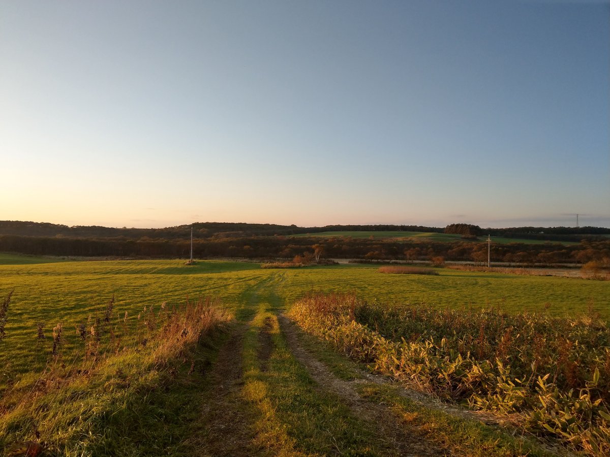 Golden Hour Across Hokkaido's Open Fields, October photo 2