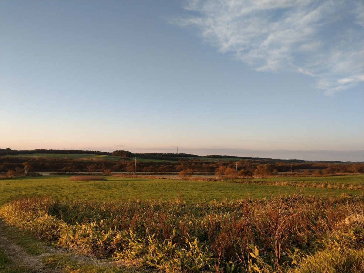 Golden Hour Across Hokkaido's Open Fields, October photo 3