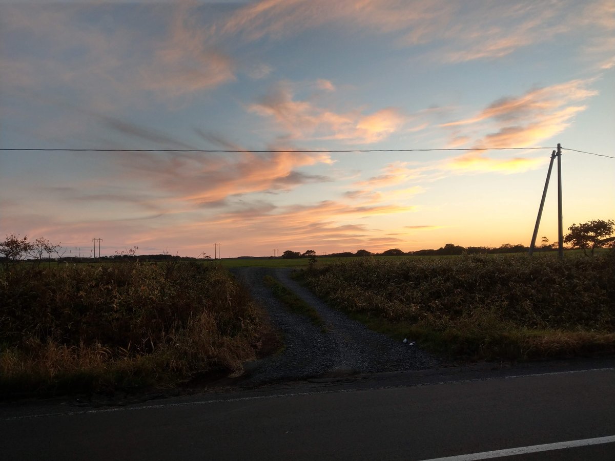 Golden Hour Across Hokkaido's Open Fields, October photo 6