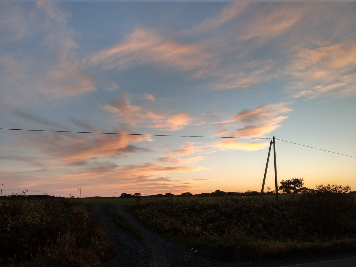 Golden Hour Across Hokkaido's Open Fields, October photo 7