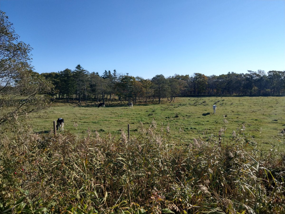 Autumn Roads Through Rural Hokkaido photo 4