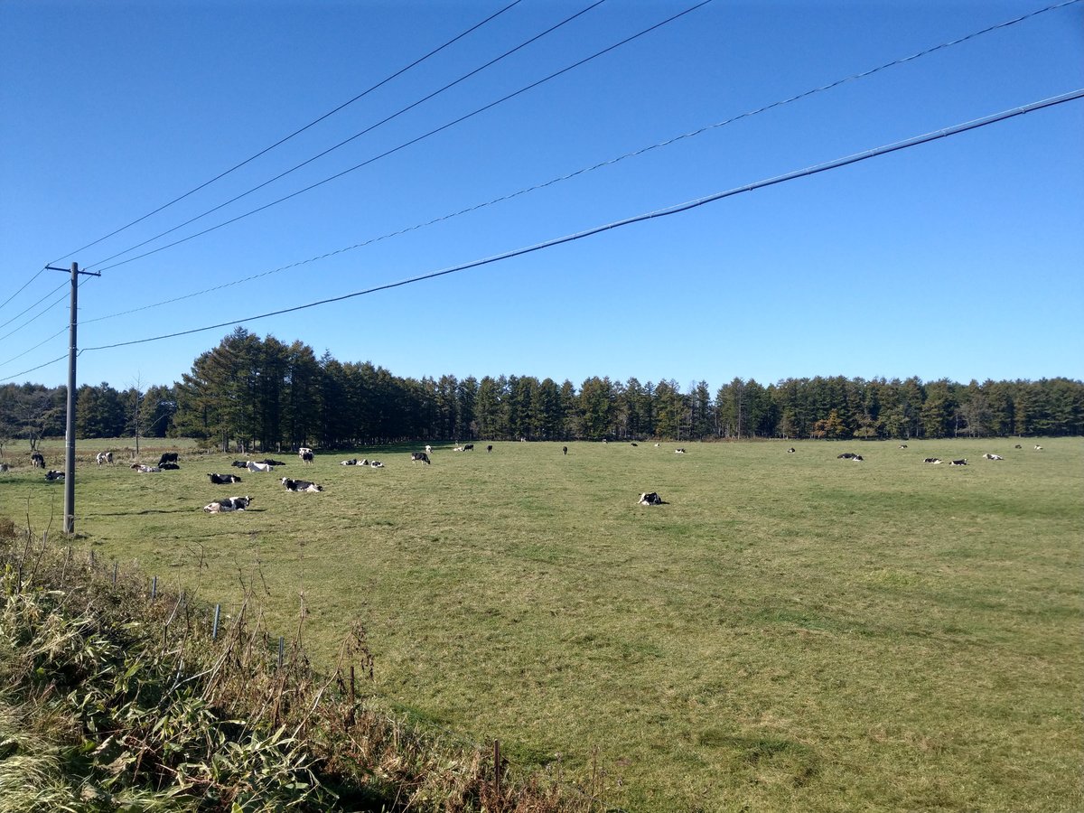 Autumn Roads Through Rural Hokkaido photo 7