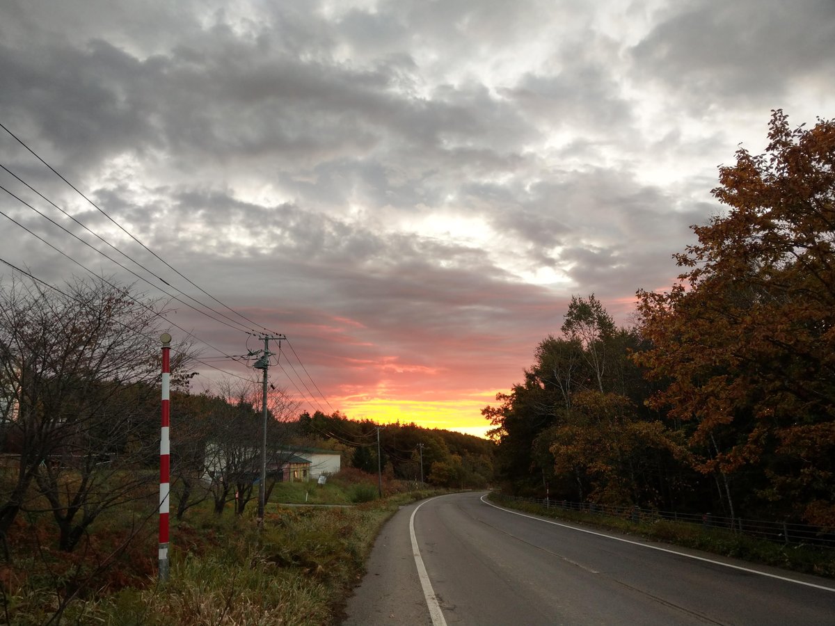 Endless Ocean View Across Hokkaido's Coastal Grassland photo 8