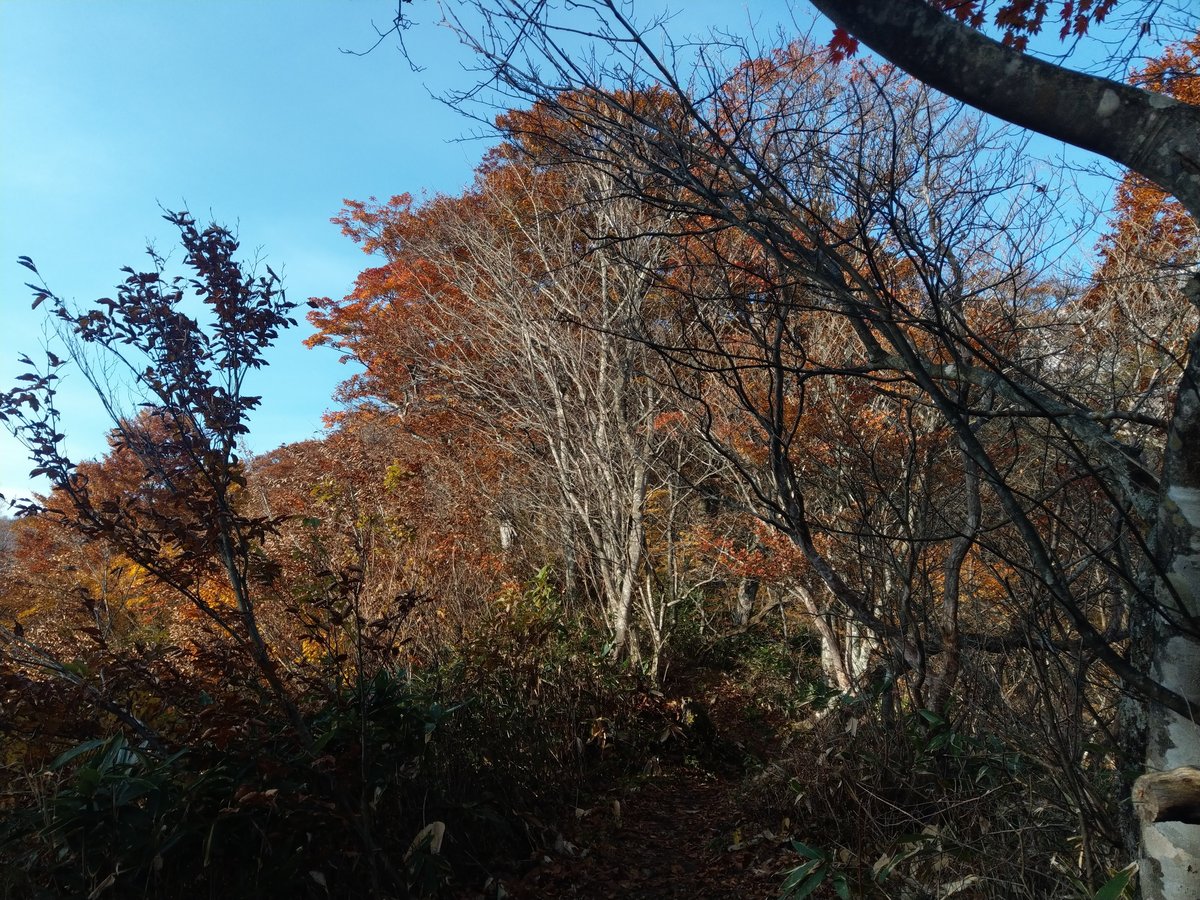 Autumn Trail near Mt. Tanigawa, Gunma photo 4