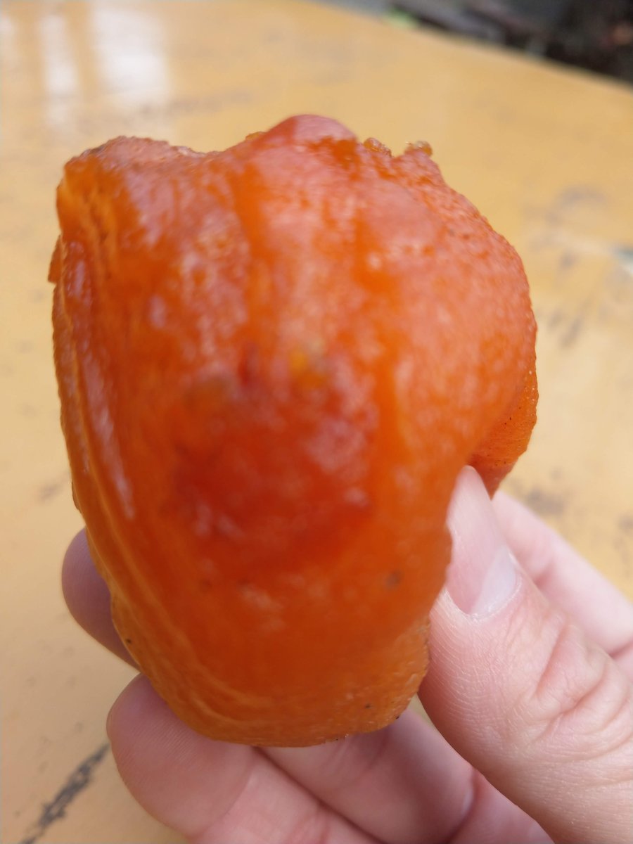 Persimmon Drying Harvest, Koshu Yamanashi photo 8
