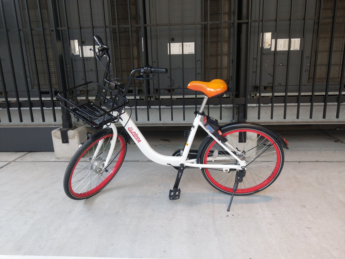 Cycling Through Kyoto in Winter