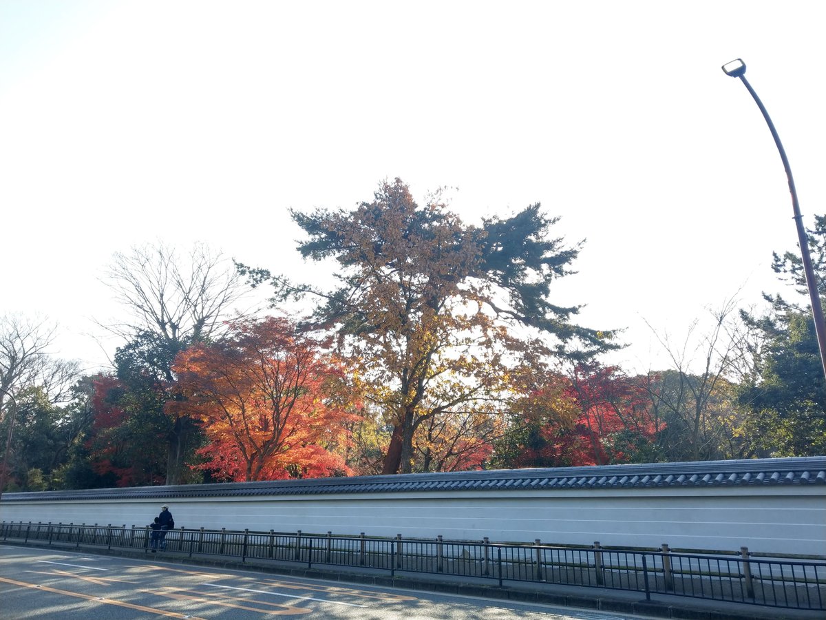 Autumn in Kyōto—lakeside colors and stillness