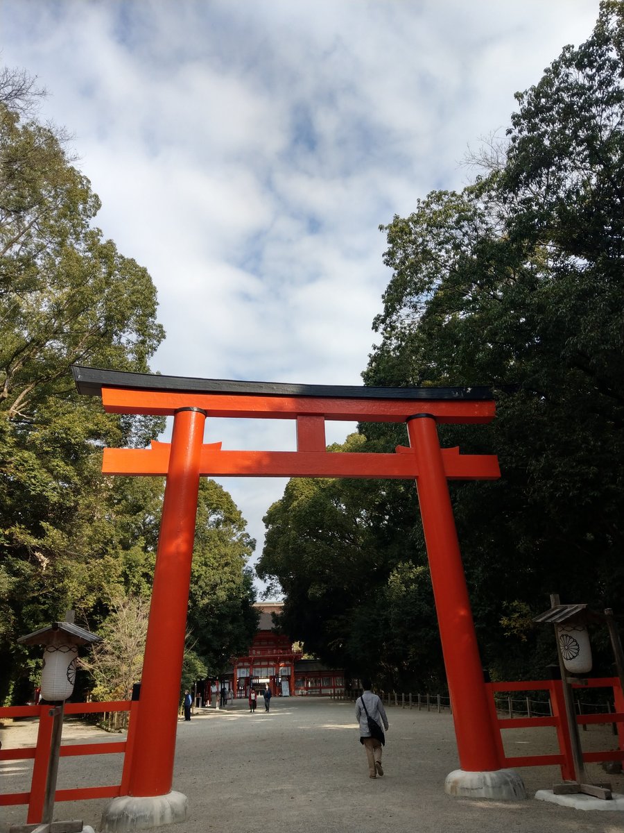Kyoto Autumn Canopy, December photo 9