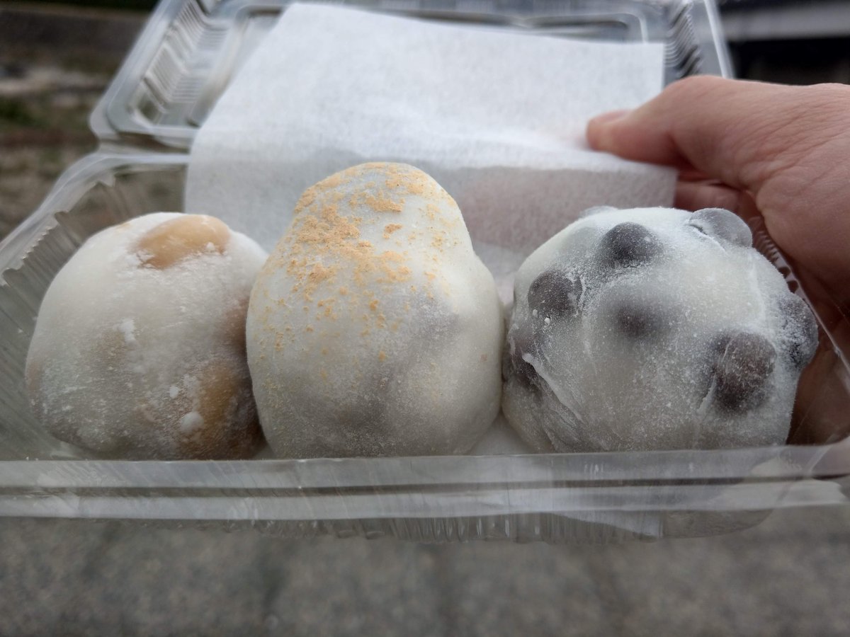 Kyoto Street Snack: Takoyaki from Tanaka-Shimoyanagicho photo 2