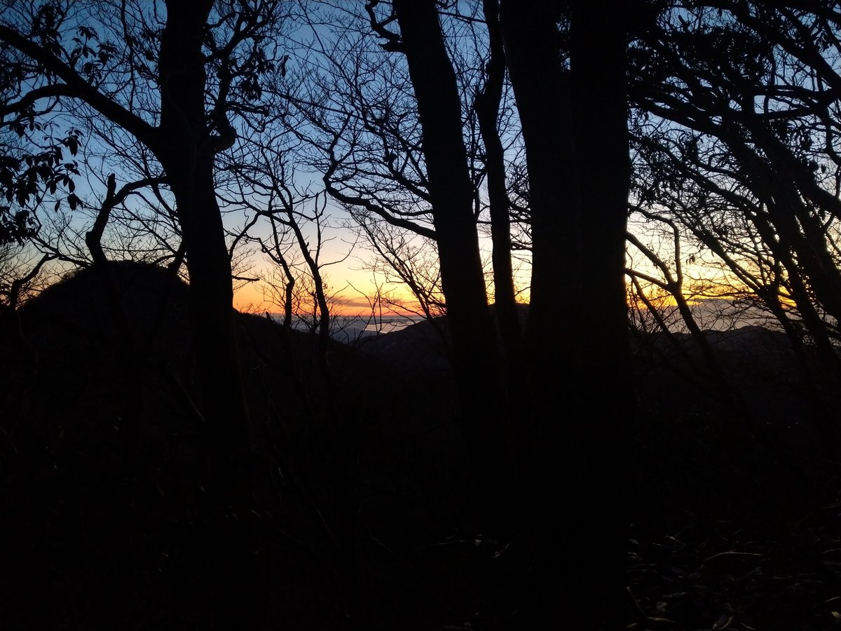 Otome Pass at Night, Shizuoka photo 4