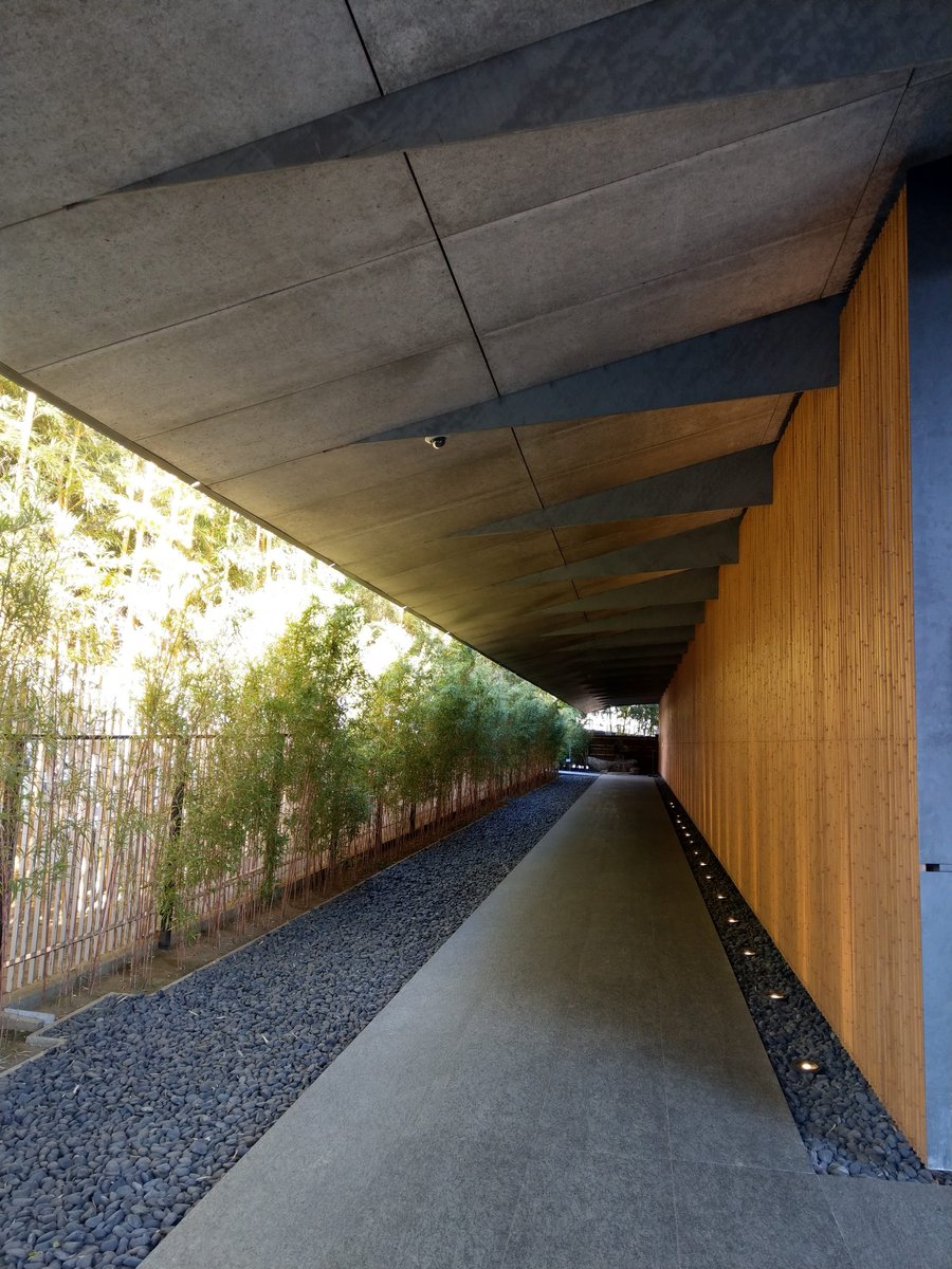 Bamboo Grove in Minami-Aoyama, Tokyo photo 2
