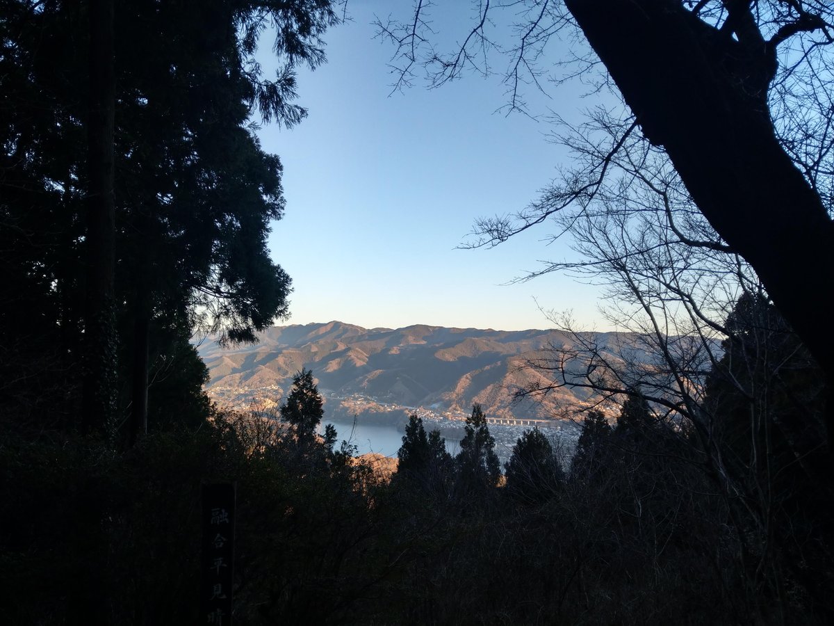 Winter Forest Walk Through Tall Cedars, Kanagawa photo 5