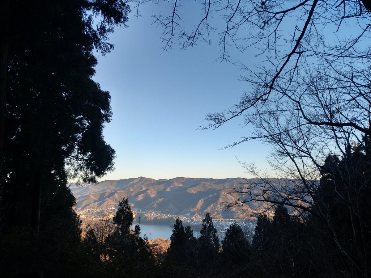 Winter Forest Walk Through Tall Cedars, Kanagawa photo 6
