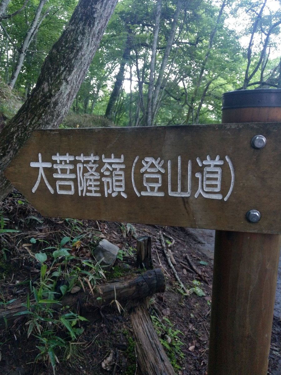Mountain Trail Sign, Yamanashi — June Green