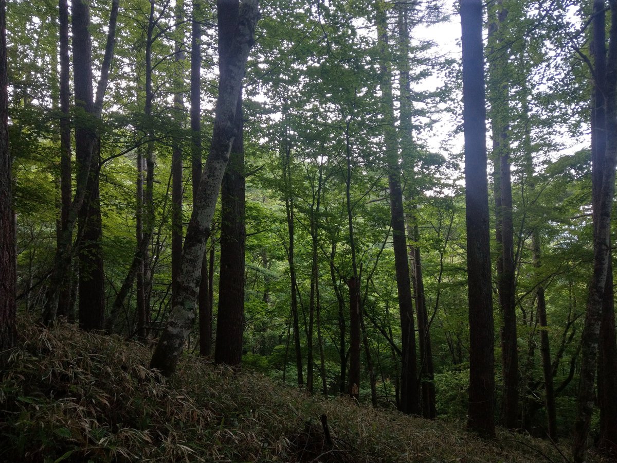 Mountain Trail Sign, Yamanashi — June Green photo 2