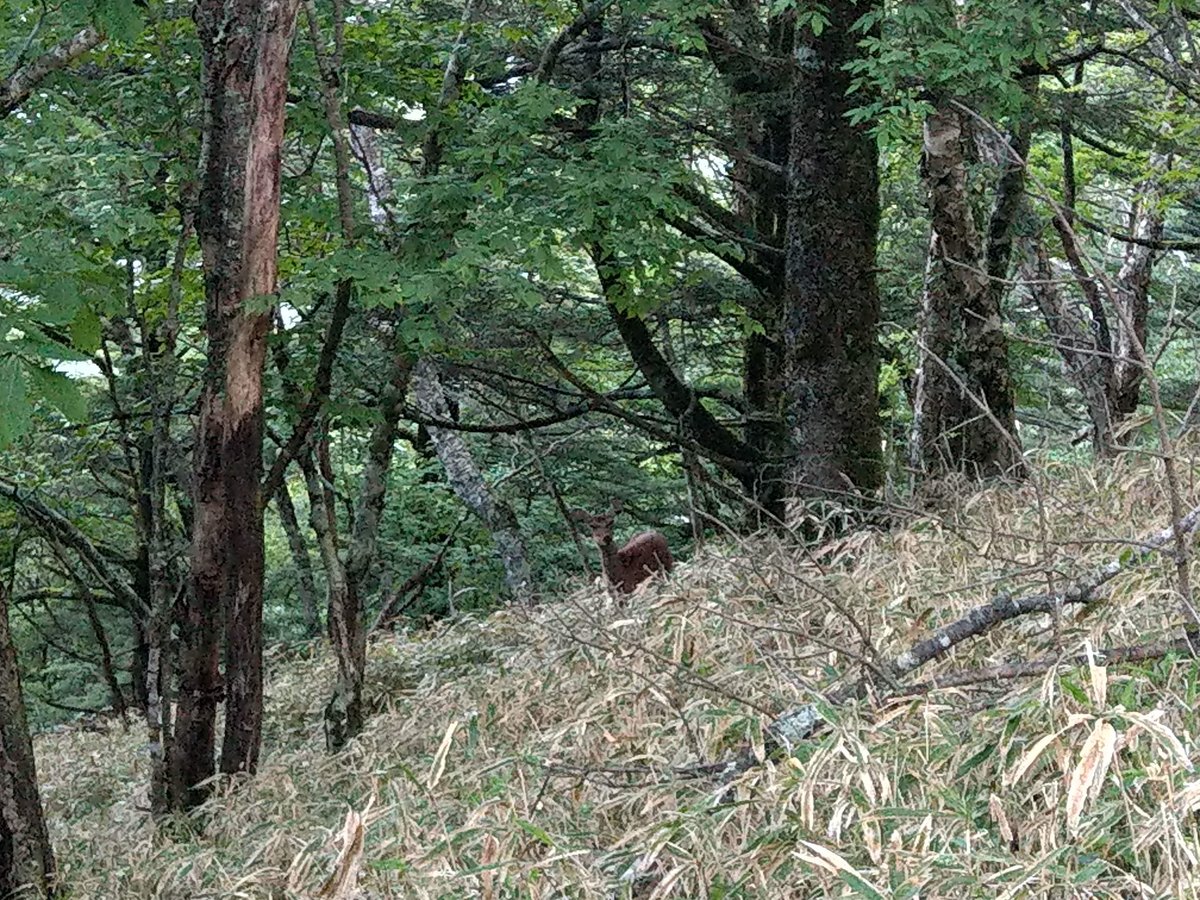 Mountain Trail Sign, Yamanashi — June Green photo 3