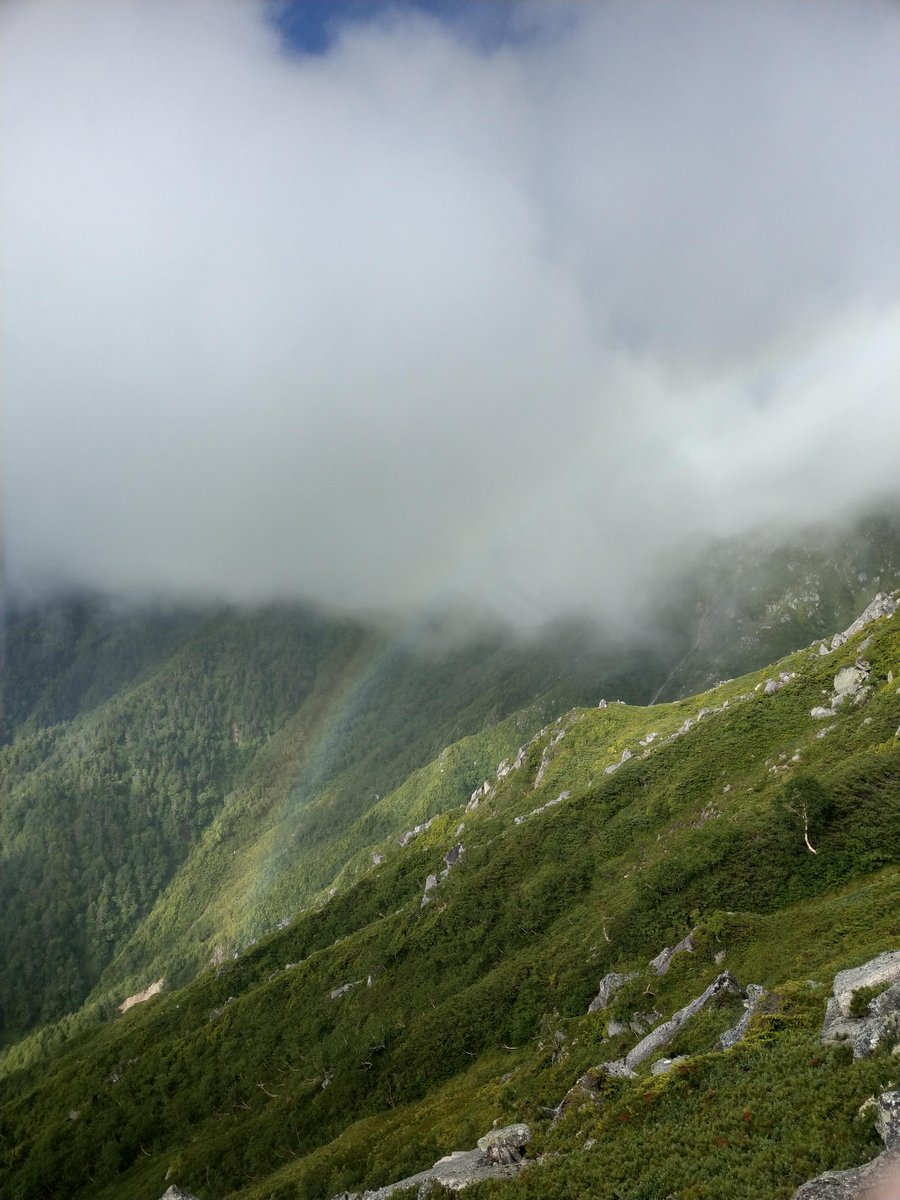 Summer Wildflower in the Nagano Alps photo 7