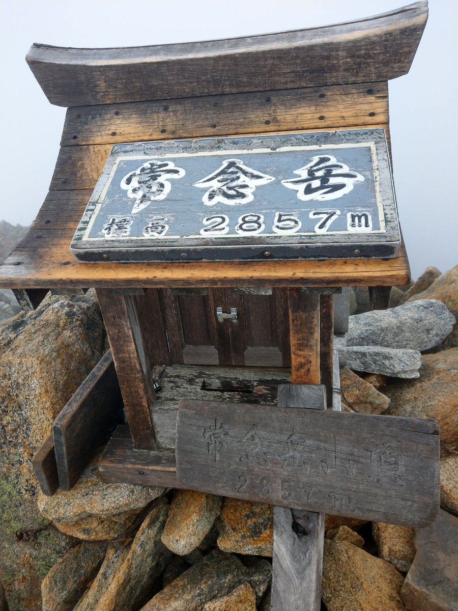 Summer Wildflower in the Nagano Alps photo 9