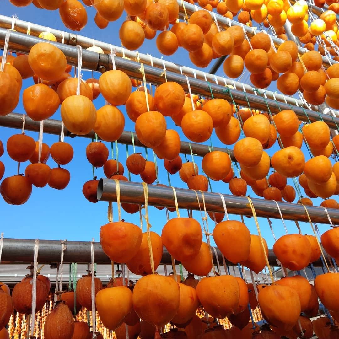 Persimmon Drying Racks, Koshu, Yamanashi