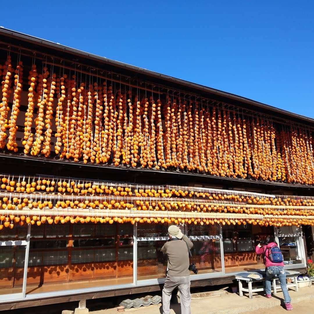 Persimmon Drying Racks, Koshu, Yamanashi photo 2