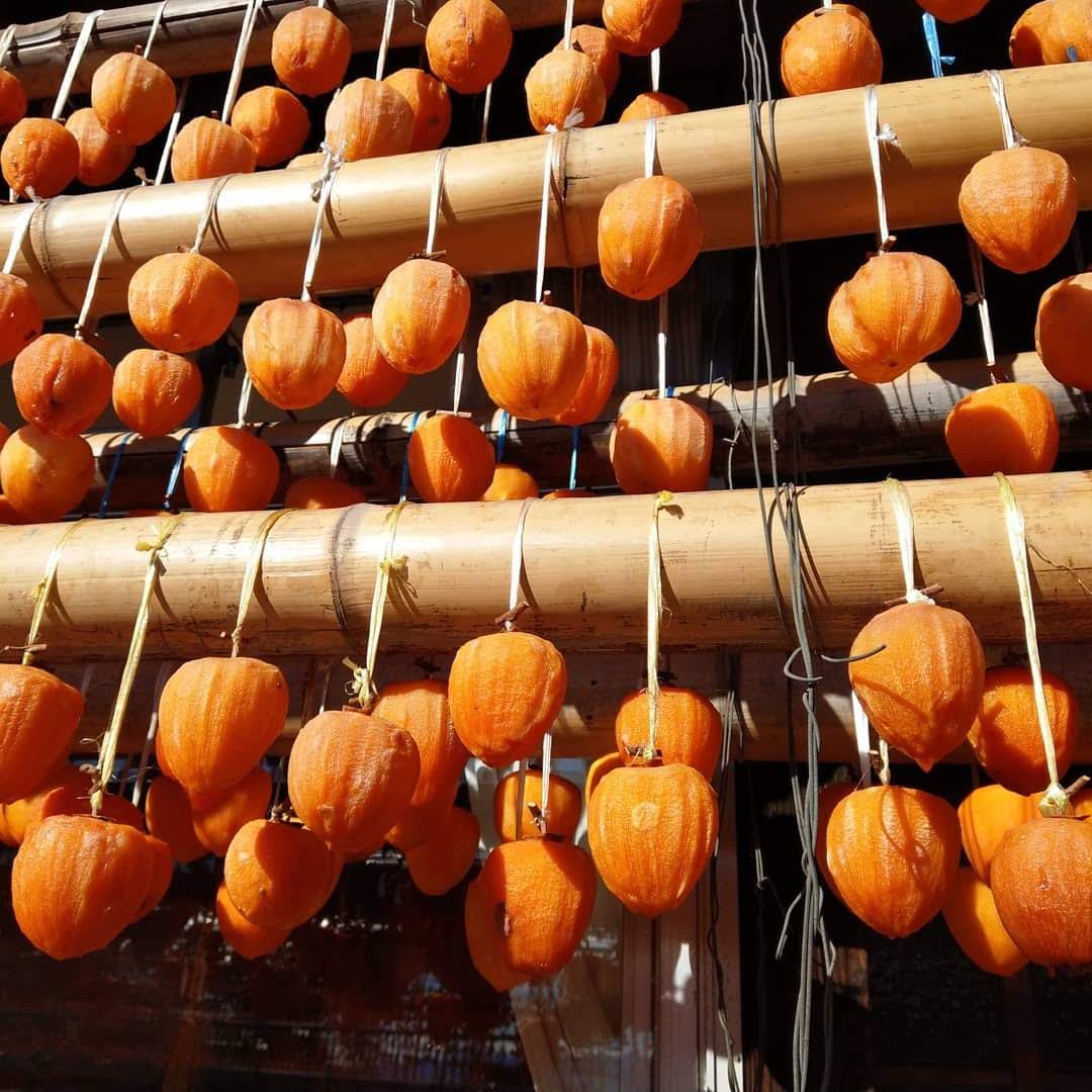 Persimmon Drying Racks, Koshu, Yamanashi photo 3